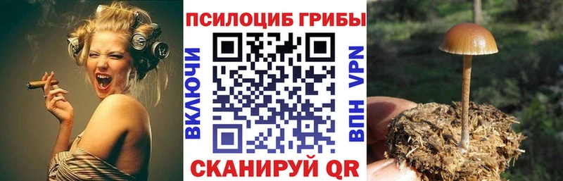 Псилоцибиновые грибы GOLDEN TEACHER  Купить где  Гудермес 